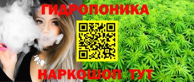 молекула духа Бердск